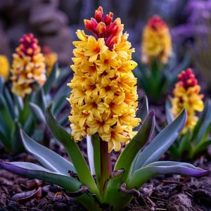 Гиацинт Миднайт Мистери купить по цене от 2099р. в интернет-магазине «Посадика» с доставкой почтой в в Невьянске и по всей России – [изображение №1].